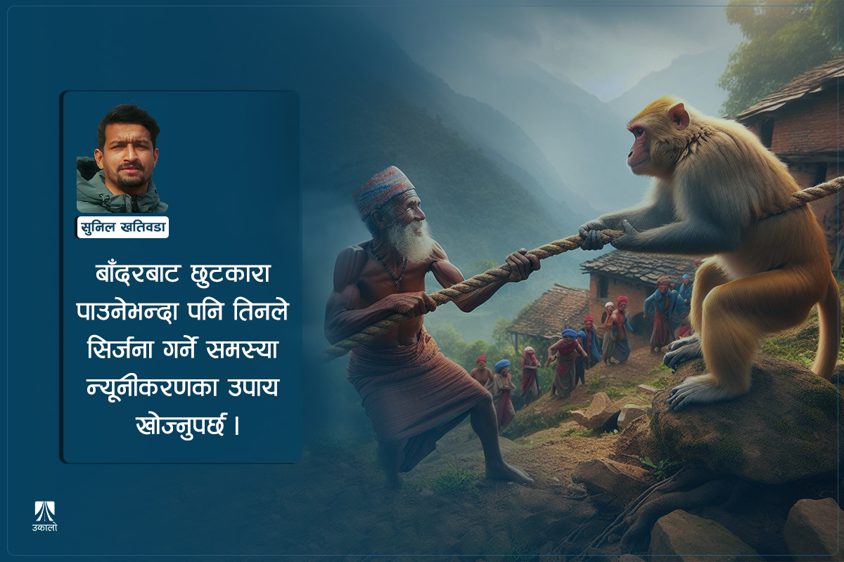 ‘झटारे उपाय’ले निस्कन्न बाँदर–मानव द्वन्द्वको समाधान