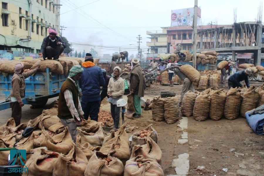 ३ महिनामा भित्रियो साढे २ अर्बको आलु र १ अर्ब ६८ करोडको प्याज