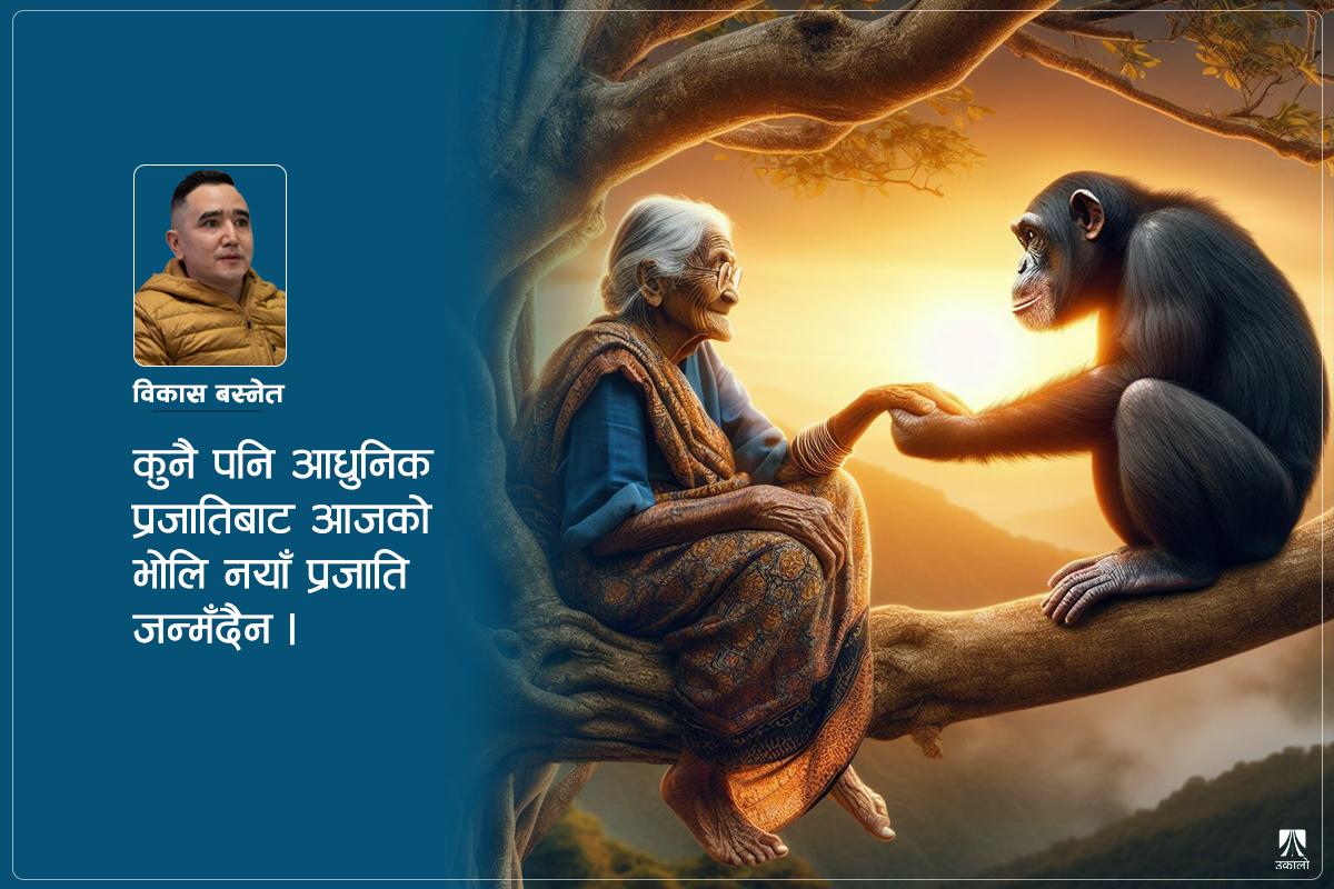 बाँदर हाम्रा पुर्खा होइनन्, नातेदार हुन्