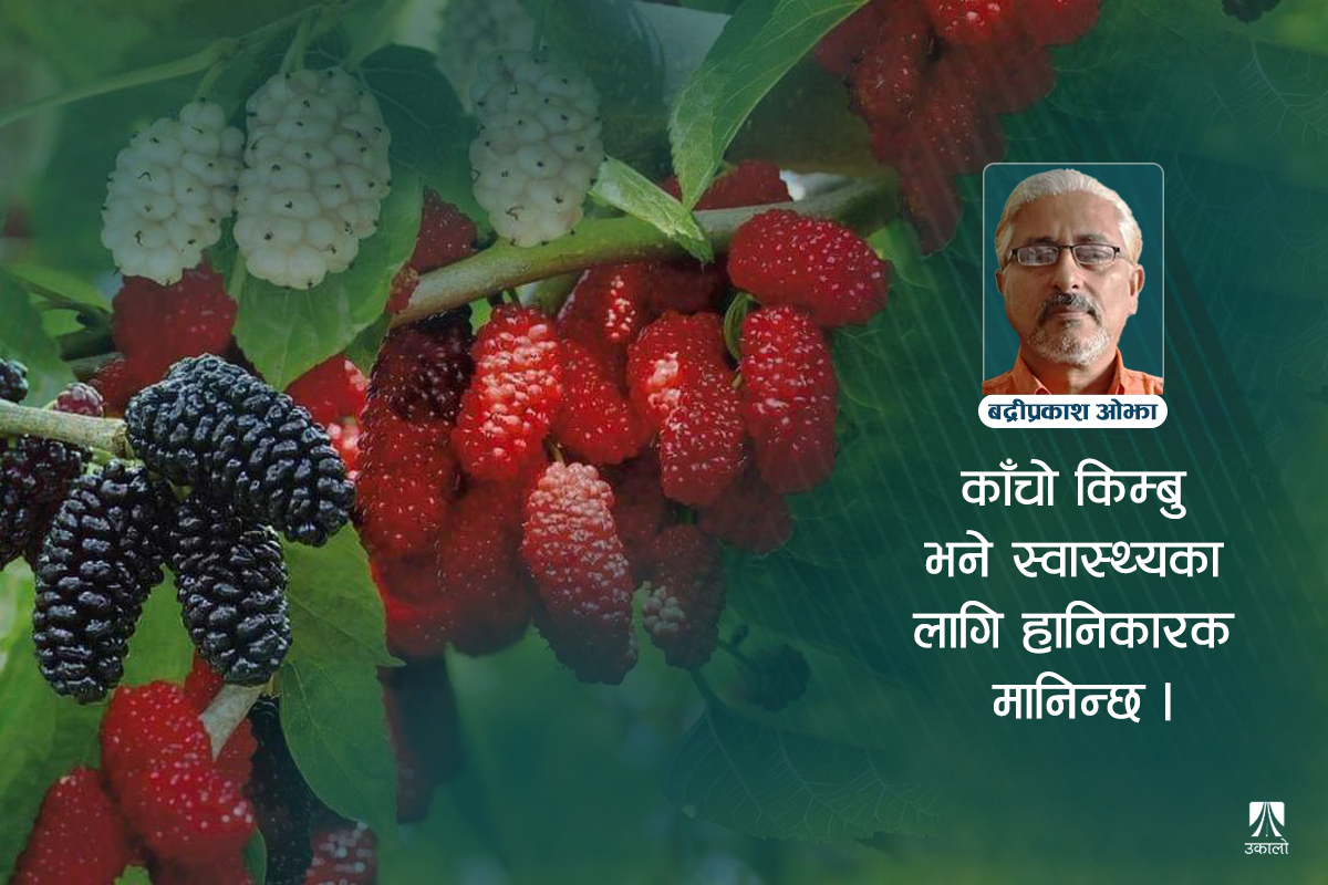 मौसमी फल किम्बु खाऊँ