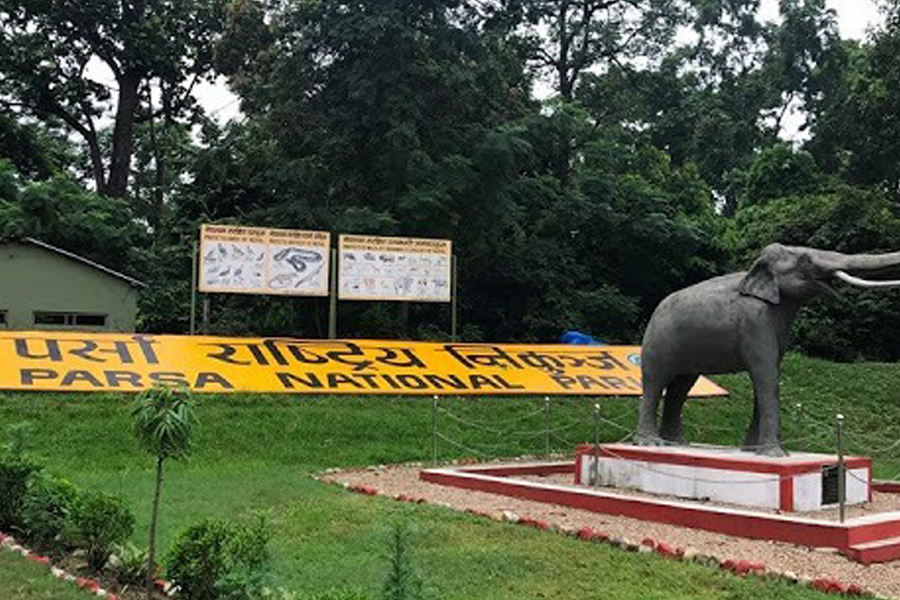 पर्सा राष्ट्रिय निकुञ्जमा बढ्यो पर्यटकको चहलपहल