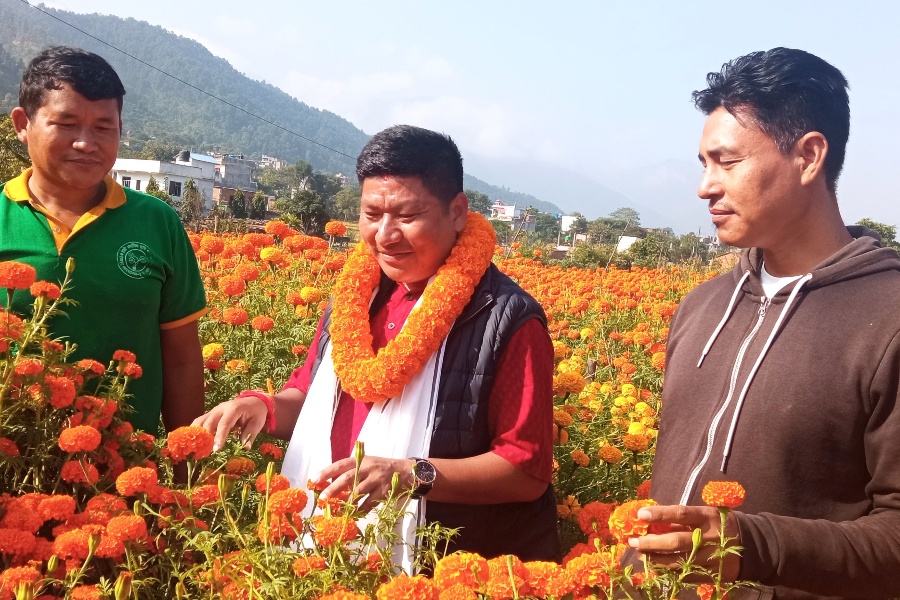 उम्मेदवारसँग उद्यमी बन्ने योजना माग्दै पाल्पाका किसान