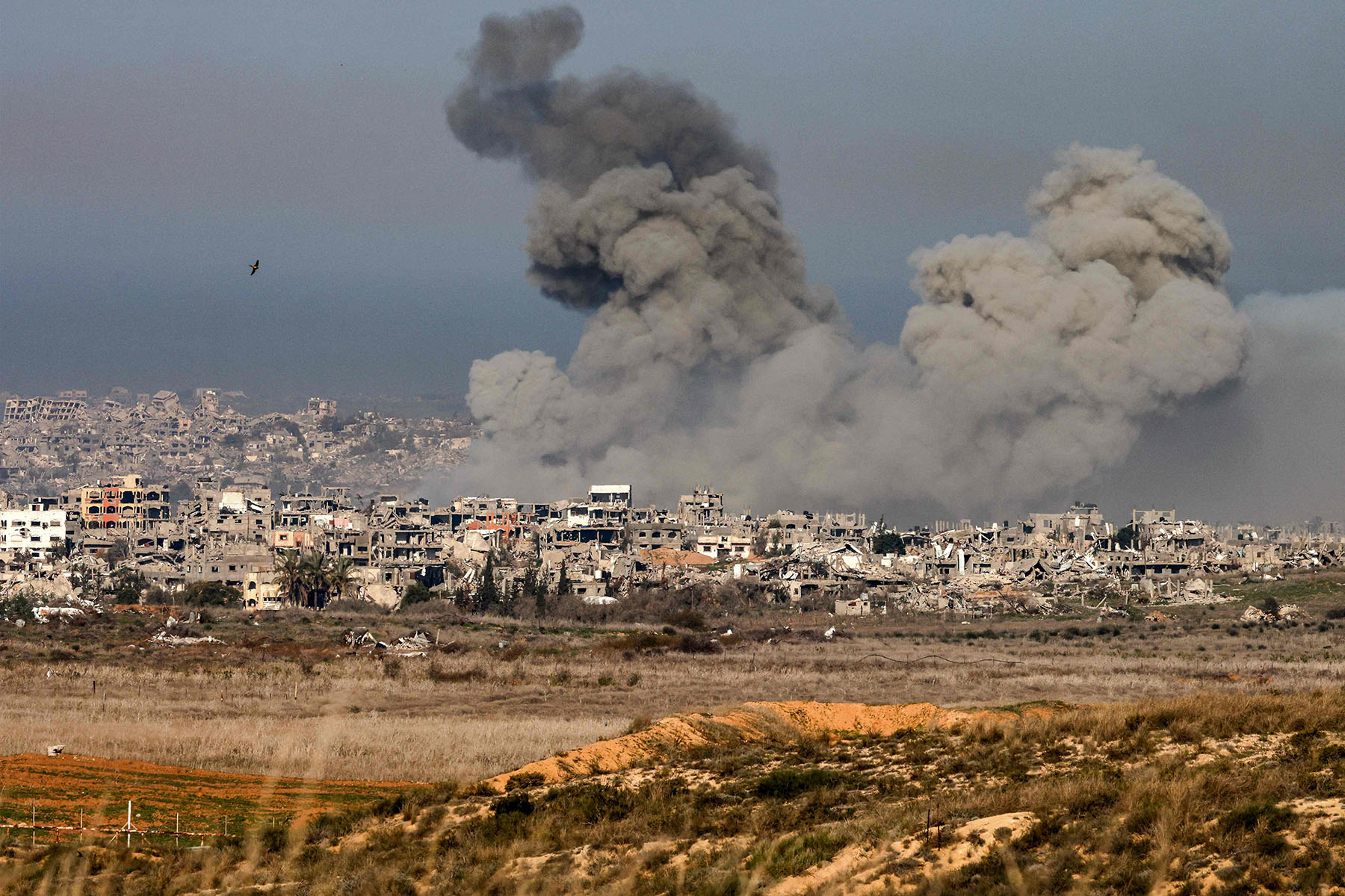 इजरायल–हमास वार्ता : प्रारम्भिक आदान–प्रदानमा गाजाबाट ३३ बन्धक मुक्त हुने