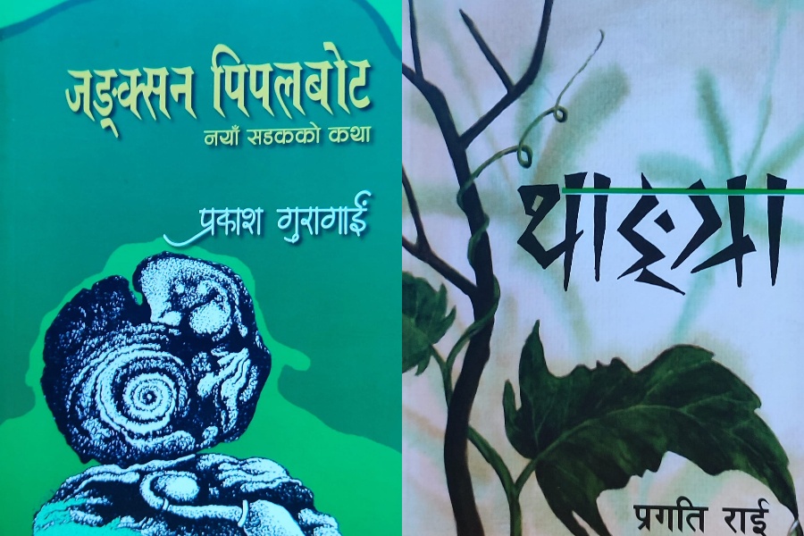 गुरागाईंको ‘जङ्क्सन पिपलबोट’ र राईको ‘थाङ्ग्रा’लाई पहिचान पुरस्कार