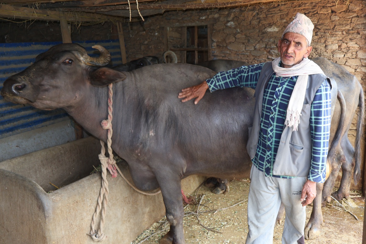 कृषिमा रमाइरहेका रघुनाथ, दूध र मह बिक्रीबाट आम्दानी