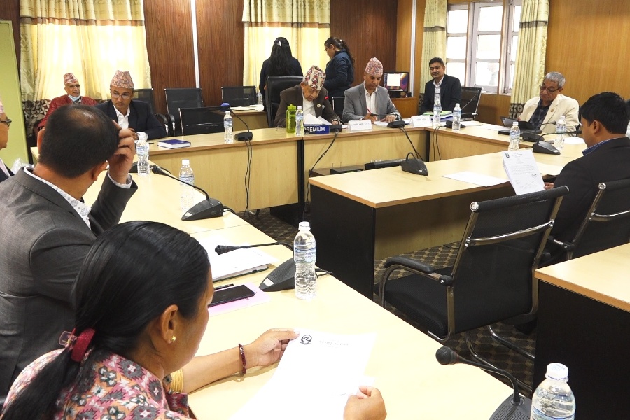 सुपारी आयात—निर्यातमा चलखेल भएको सांसदहरूको आशंका