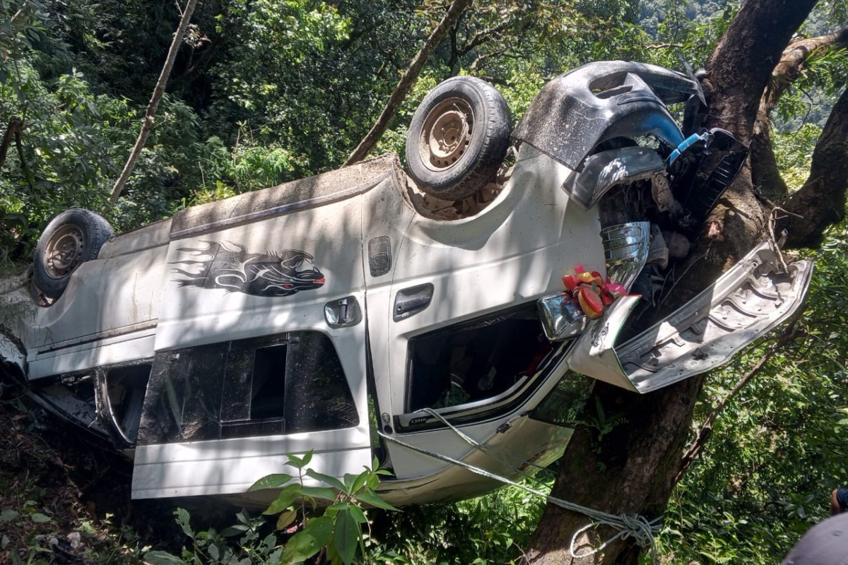 सडकबाट खसेको माइक्रोबस रूखमा अड्कियो, १२ जना घाइते