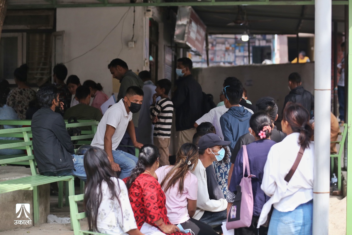 डेंगी संक्रमण : सरुवा रोग अस्पतालमा बढे बिरामी (तस्वीरहरू)