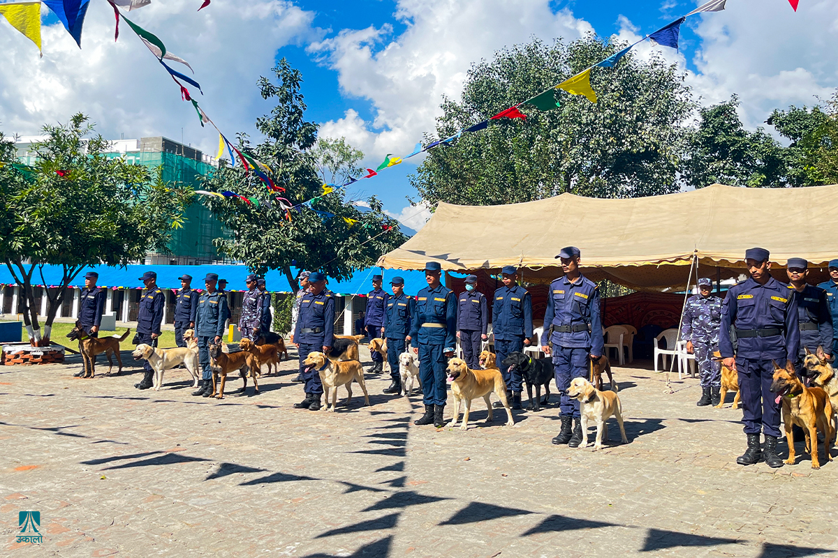 जटिल अपराध अनुसन्धानलाई सहज बनाइरहेका प्रहरी कुकुर