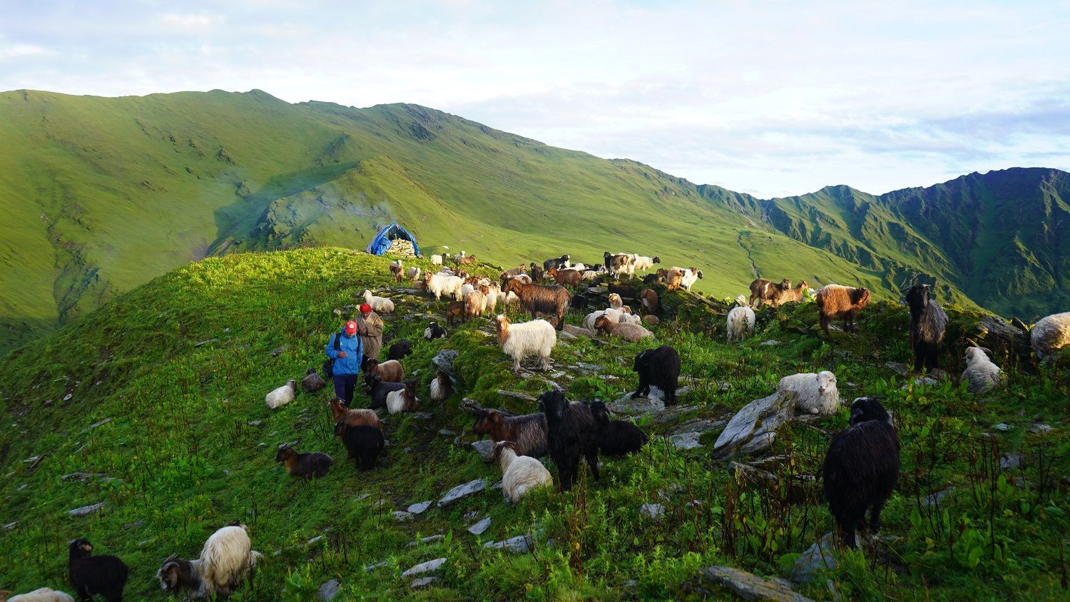 गर्पाछेडाको लोभलाग्दो सुन्दरता, पाहुनाका लागि ‘गोठ–स्टे’