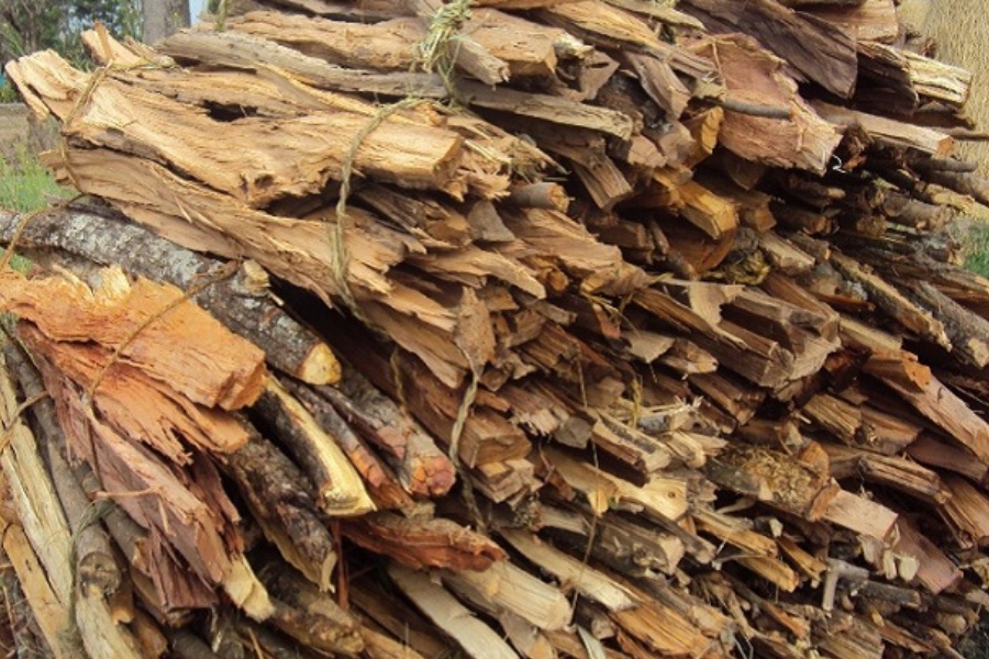 जनगणना २०७८ : दाउरा प्रयोग गर्ने जनसंख्या ५१ प्रतिशत 