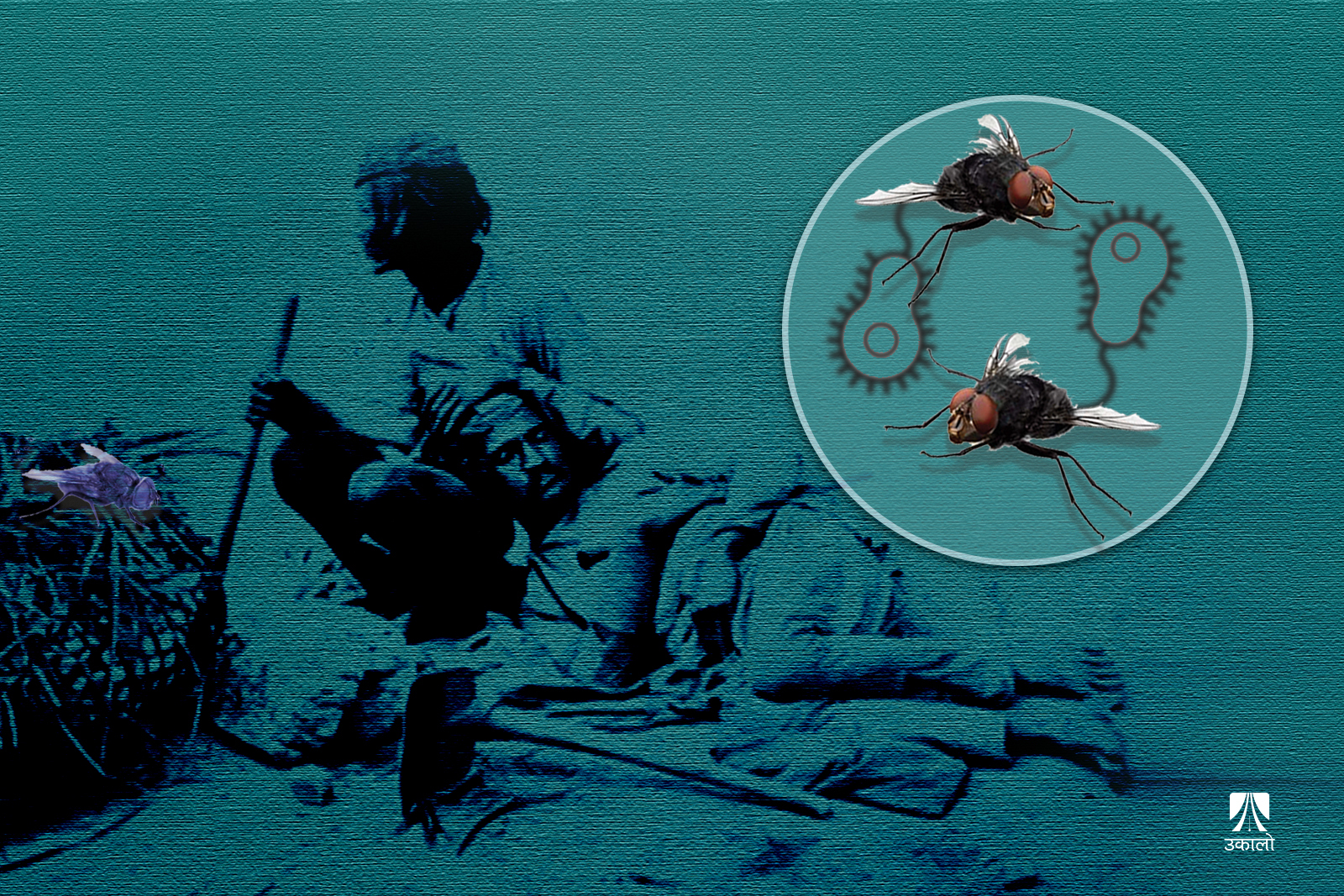 पर्सा र बारामा हैजाविरुद्धको खोप अभियान चलाइने