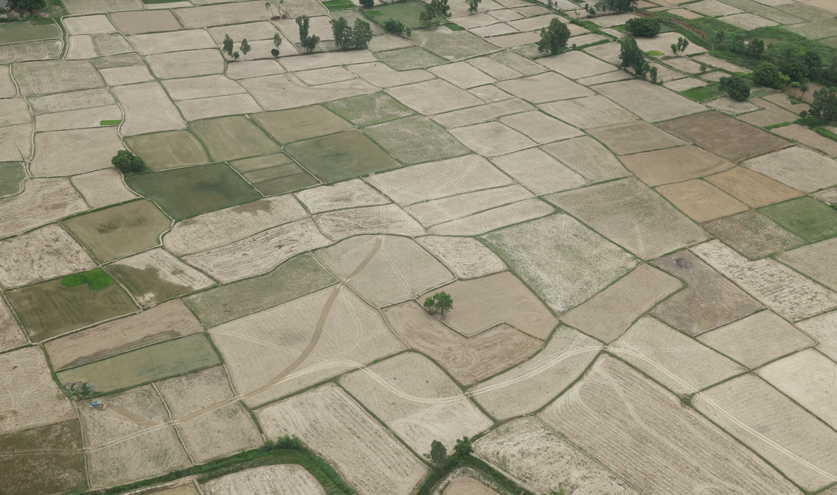 मधेशमा सुख्खा: समाधानका लागि बजेट व्यवस्थापन गर्न संसदीय समितिको निर्देशन