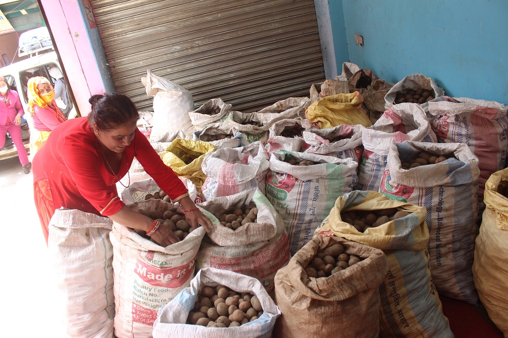 म्याग्दीमा करिब १ अर्बको आलु र सुन्तला बिक्री