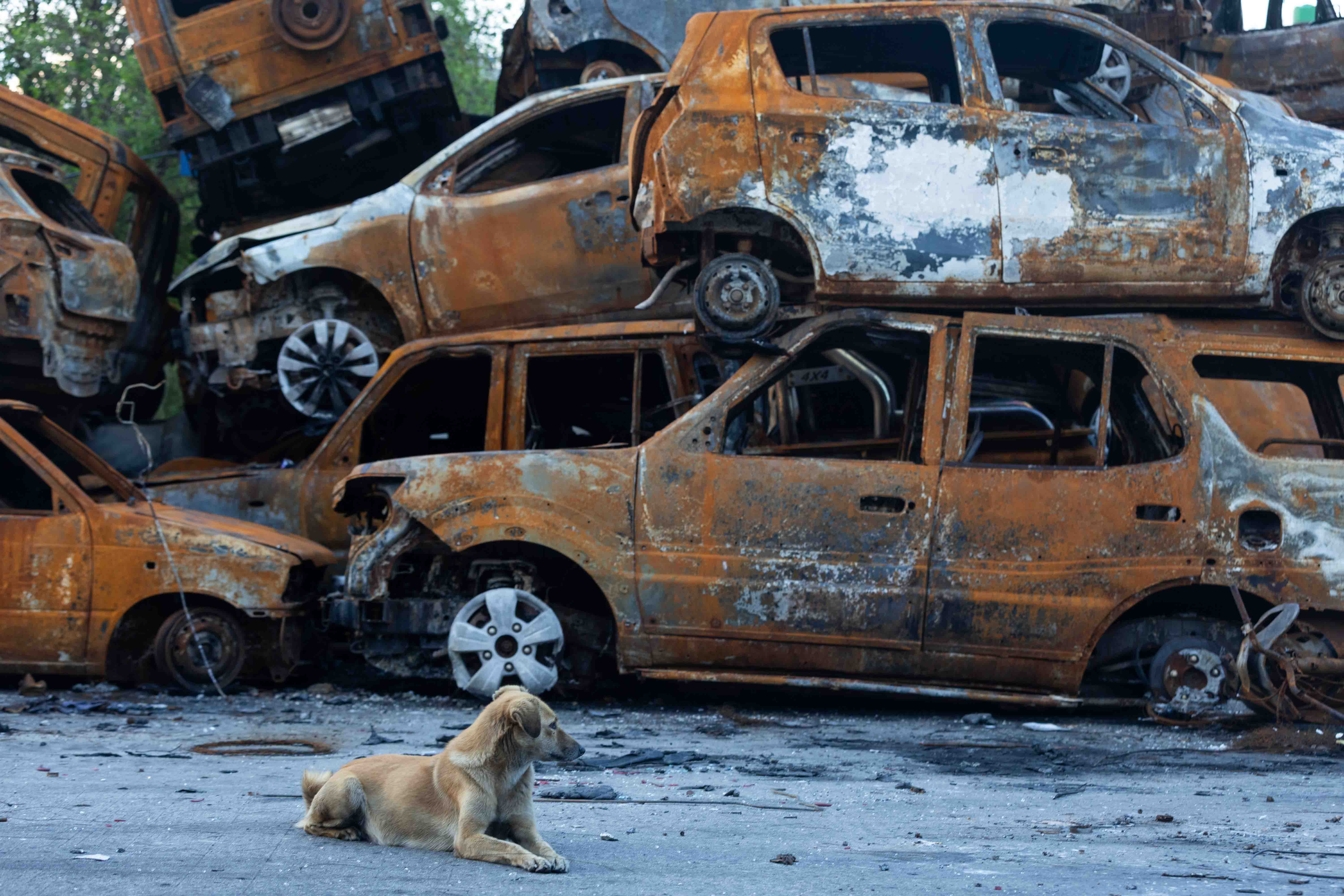 २३ अर्ब २२ करोड बराबरको बीमा दाबी, १ अर्ब ५८ करोड भुक्तानी