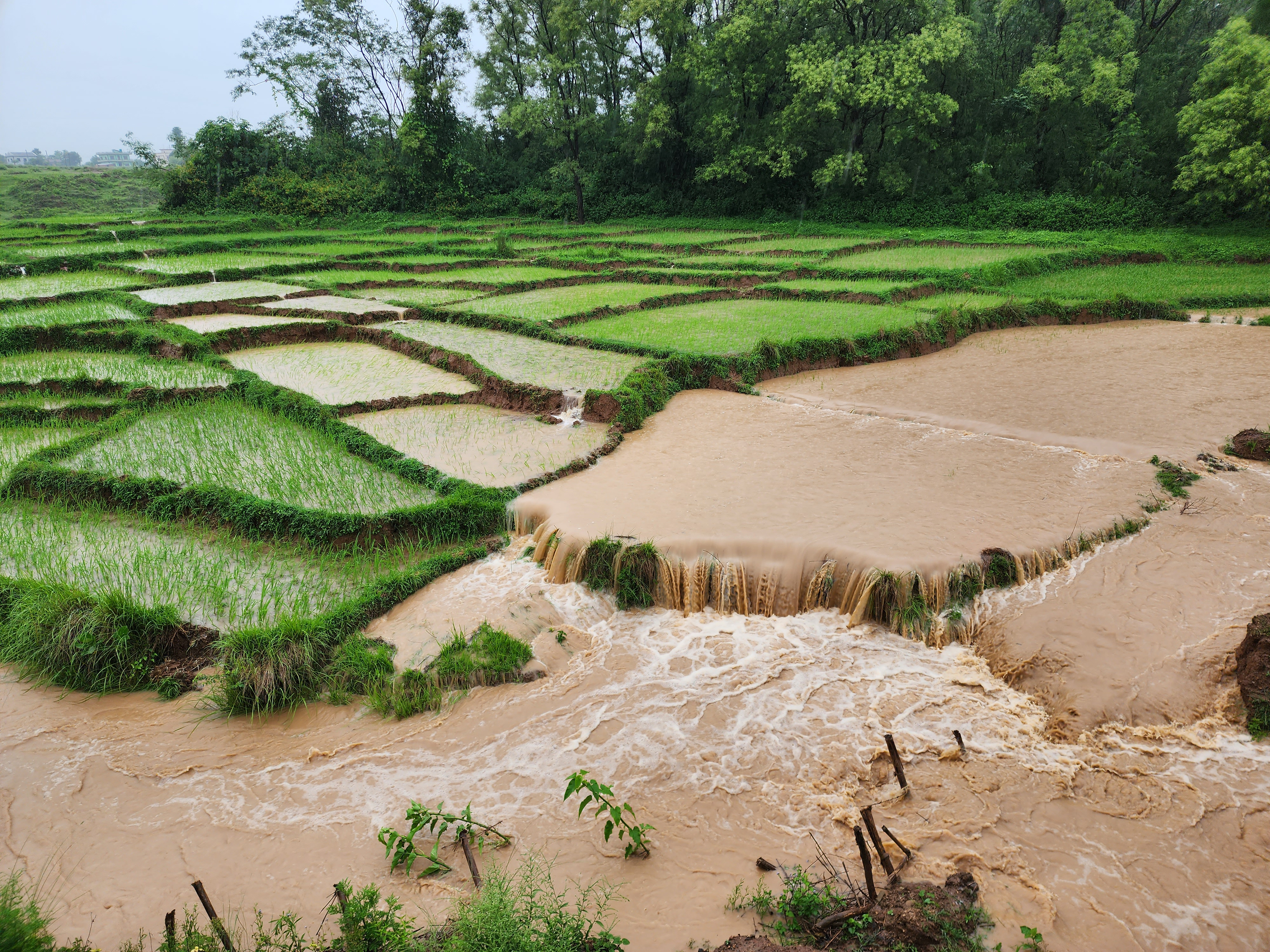 देउखुरीका दर्जन बढी घर डुबानमा