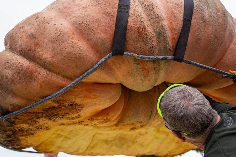 एक हजार २४७ किलोको फर्सीले तोड्यो विश्व रेकर्ड