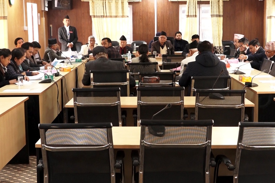 कार्यतालिका बनाएर सदन सञ्चालन गर्न सांसदहरू सहमत