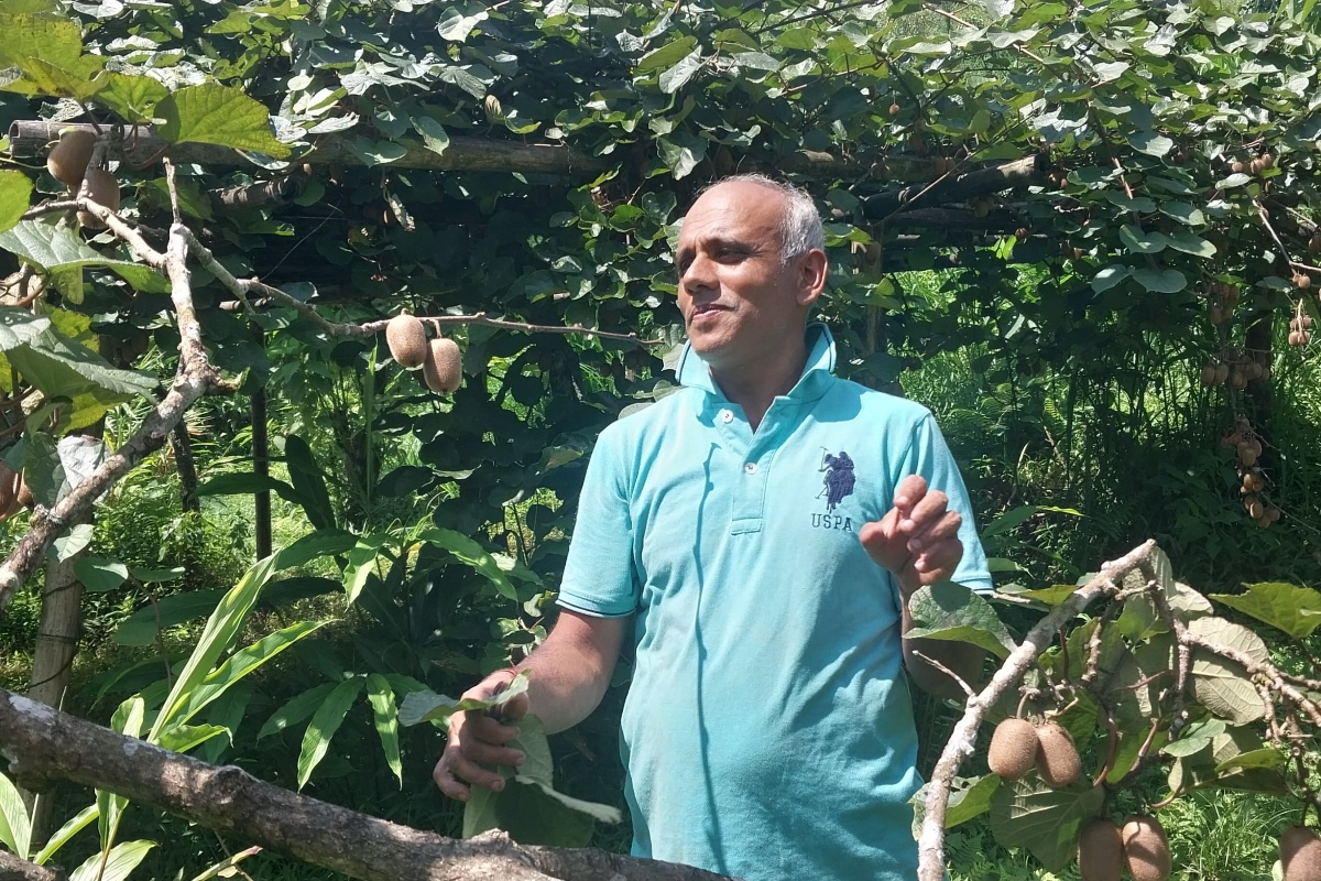 किसानलाई किबीभन्दा अलैँचीबाट फाइदा