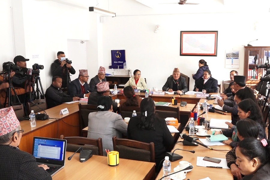 एमडीएमएस र टेरामक्सको औचित्यबारे स्पष्ट दृष्टिकोण पेस गर्न समितिको निर्देशन