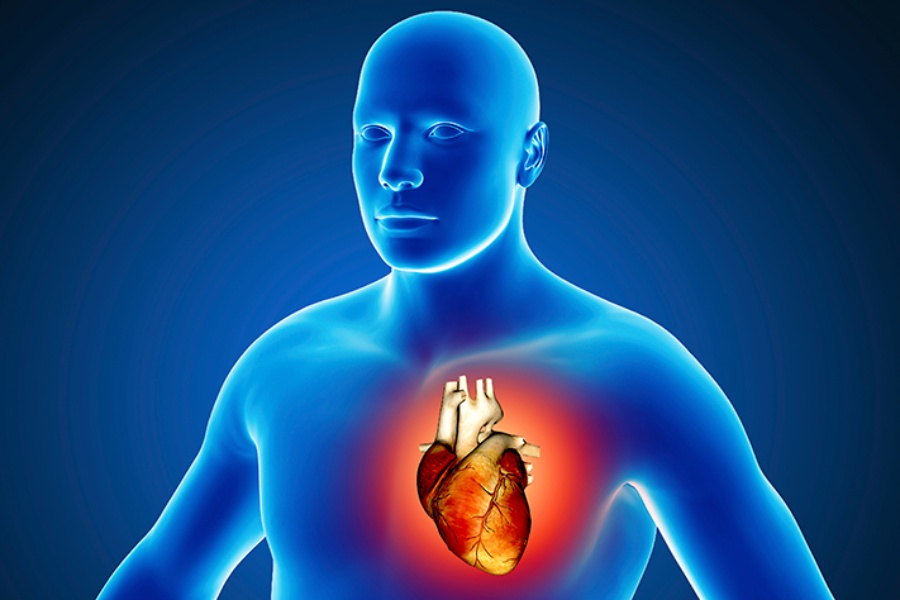 मुटुसम्बन्धी समस्या भएको कसरी थाहा पाउने? लक्षण, कारण र बच्ने उपाय