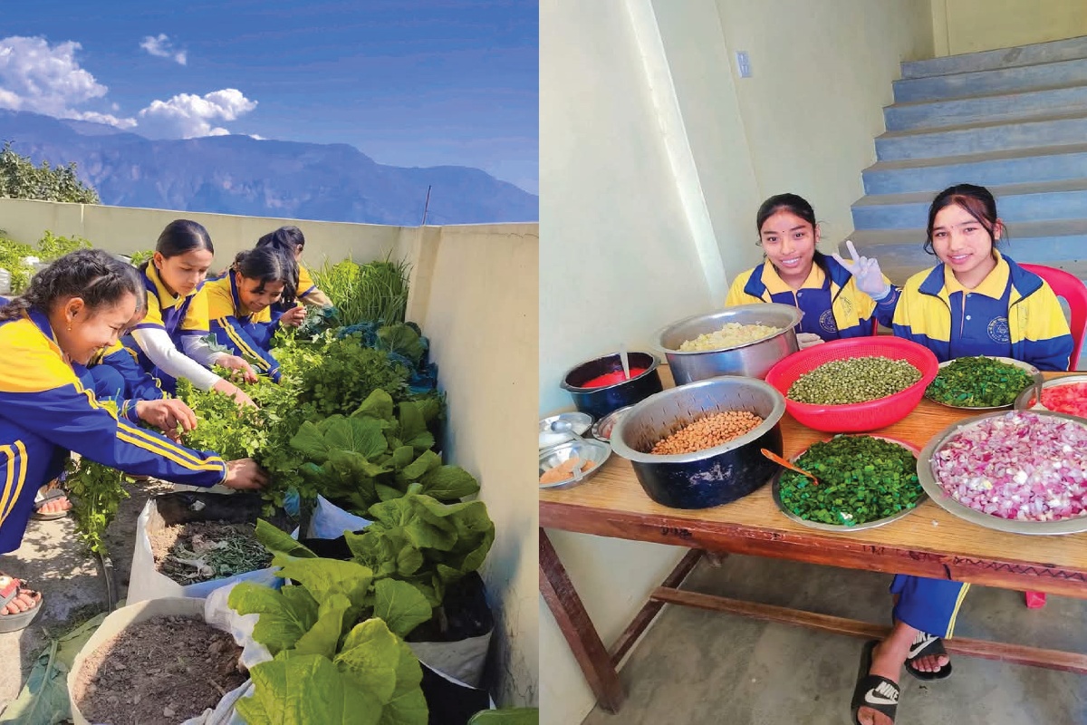 दिवा खाजाका लागि विद्यालयको कौसीमा तरकारीखेती