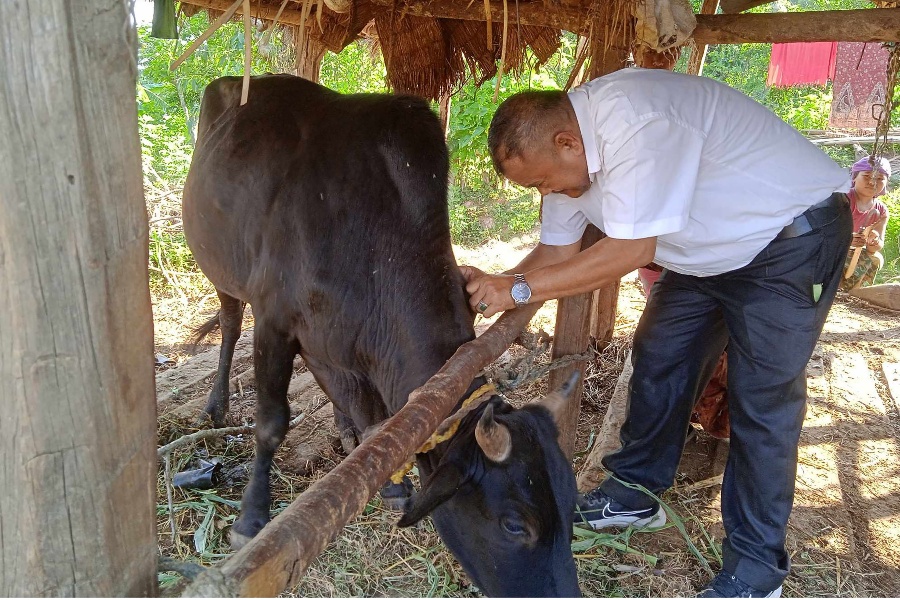 लम्पी स्किन: सुदूरपश्चिममा २६ हजार पशु चौपायाको मृत्यु, ६ लाख संक्रमित