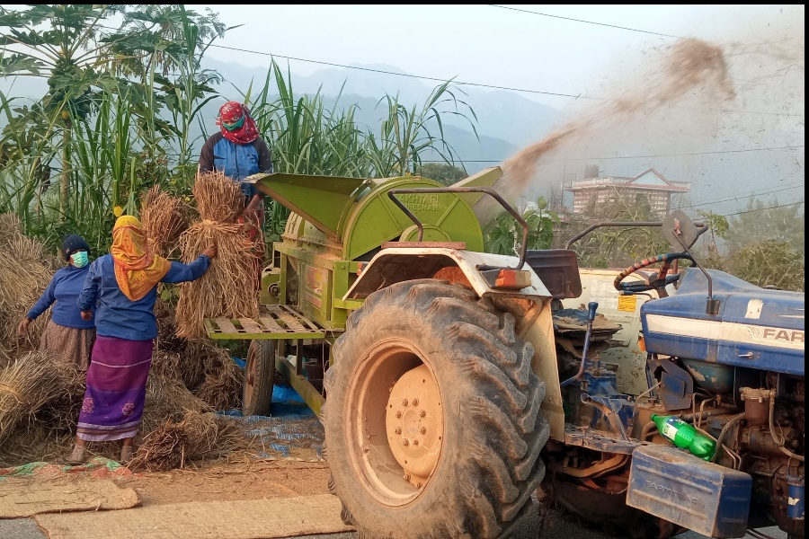 व्यवस्था फेरियो, विकासले कोल्टे फेरेन
