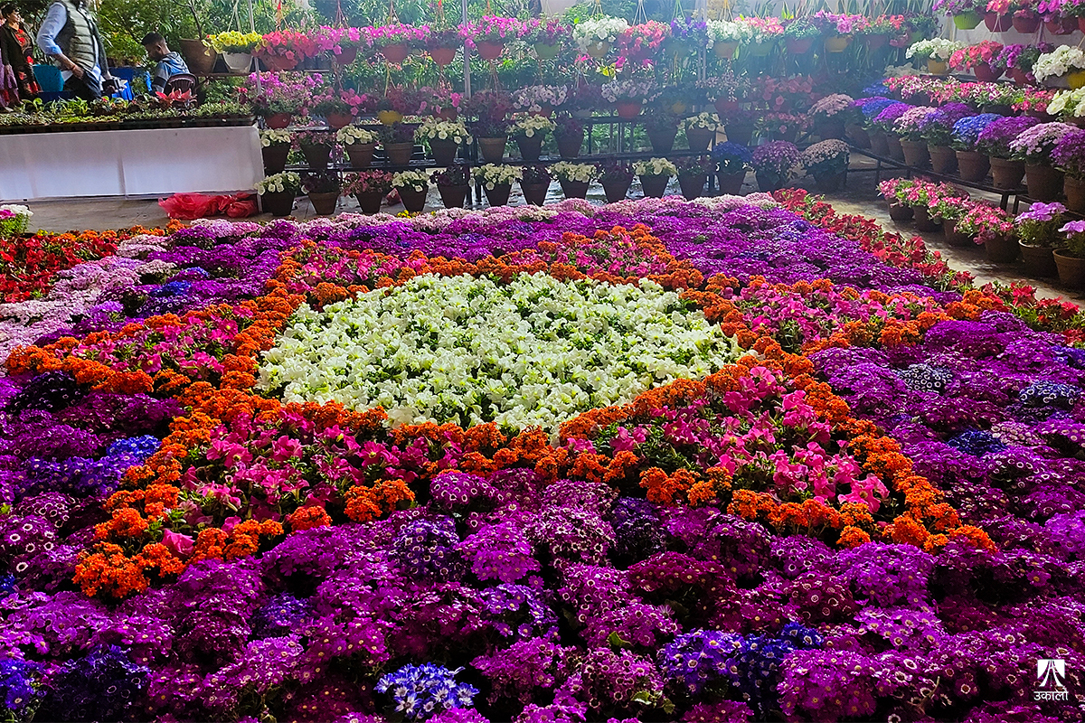 पुष्प व्यवसायी र उपभोक्ताको जमघटबीच चारदिने राष्ट्रिय बागवानी मेला सकियो