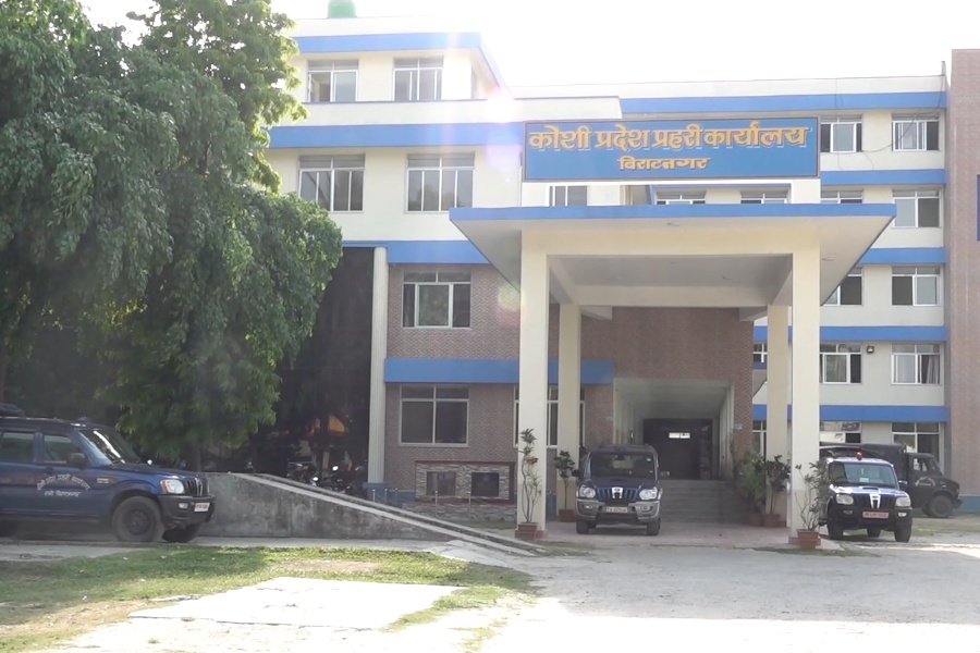 कोशी प्रदेशमा बढ्यो गाँजा ओसारपसार, माघयता २ हजार किलो बरामद