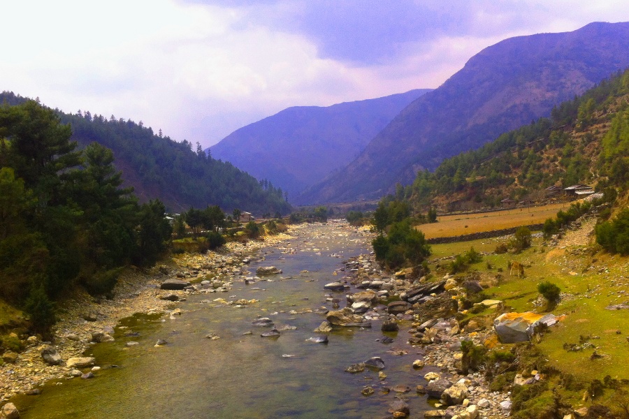 डीपीआरमै अल्झियो उत्तरगंगा जलाशययुक्त आयोजना