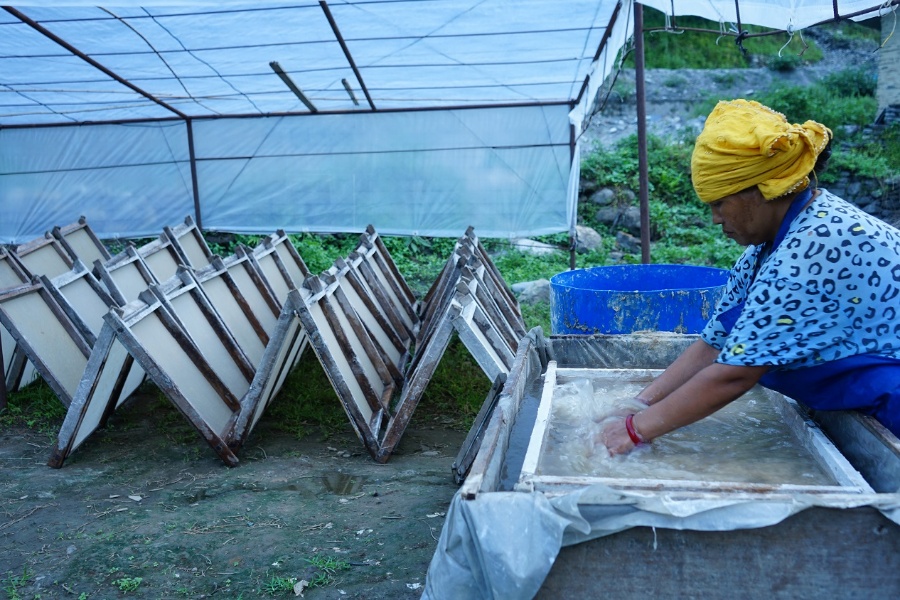 नेपाली कागज उद्योग सञ्चालन भएपछि लोक्ताको सदुपयोग