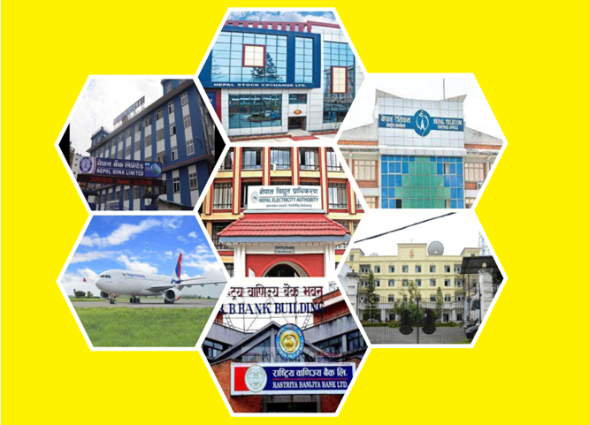 सार्वजनिक संस्थान : २६ नाफामा, १५ घाटामा, ३ वटाको कारोबार शून्य