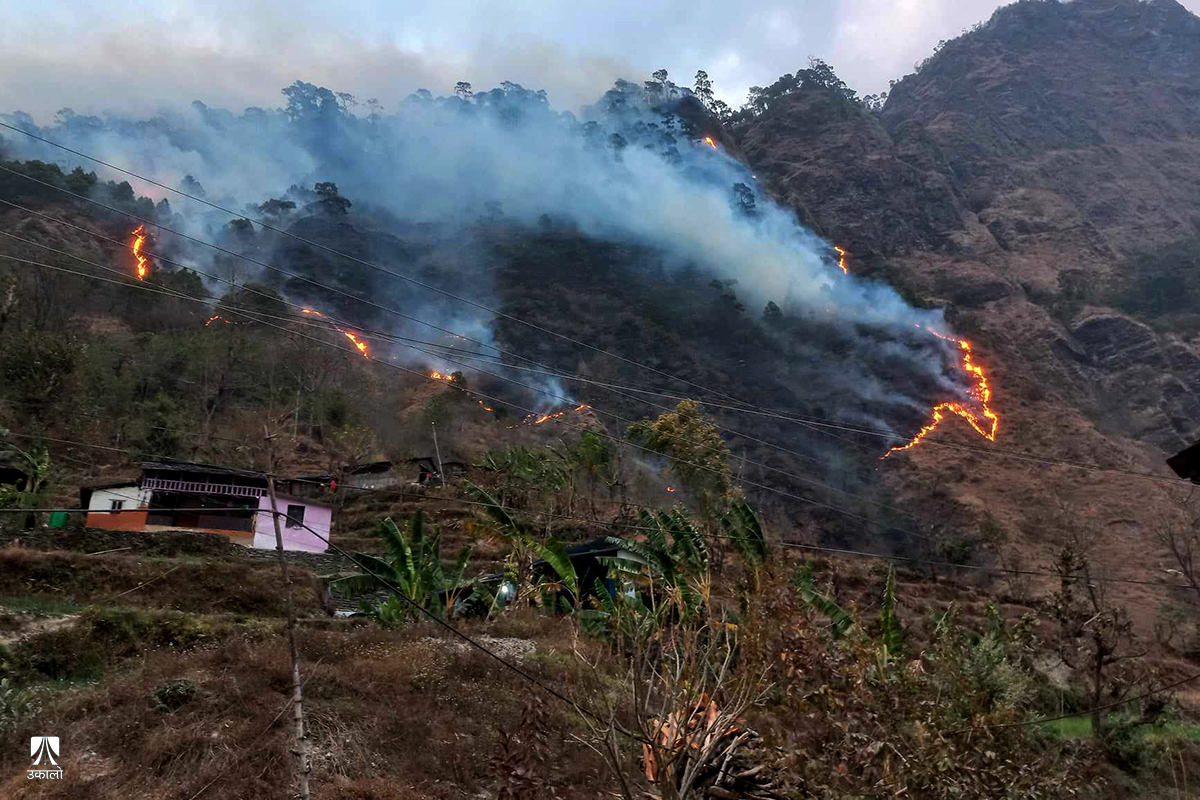 गर्मी बढेसँगै शुरू भयो डढेलो, नियन्त्रणमा के छ सरकारको पूर्वतयारी?