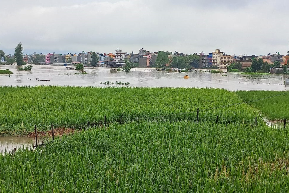 हनुमन्ते र मनोहरा खोलाको बाढीले भक्तपुरका १५ बस्ती डुबानमा, करोडौँको क्षति