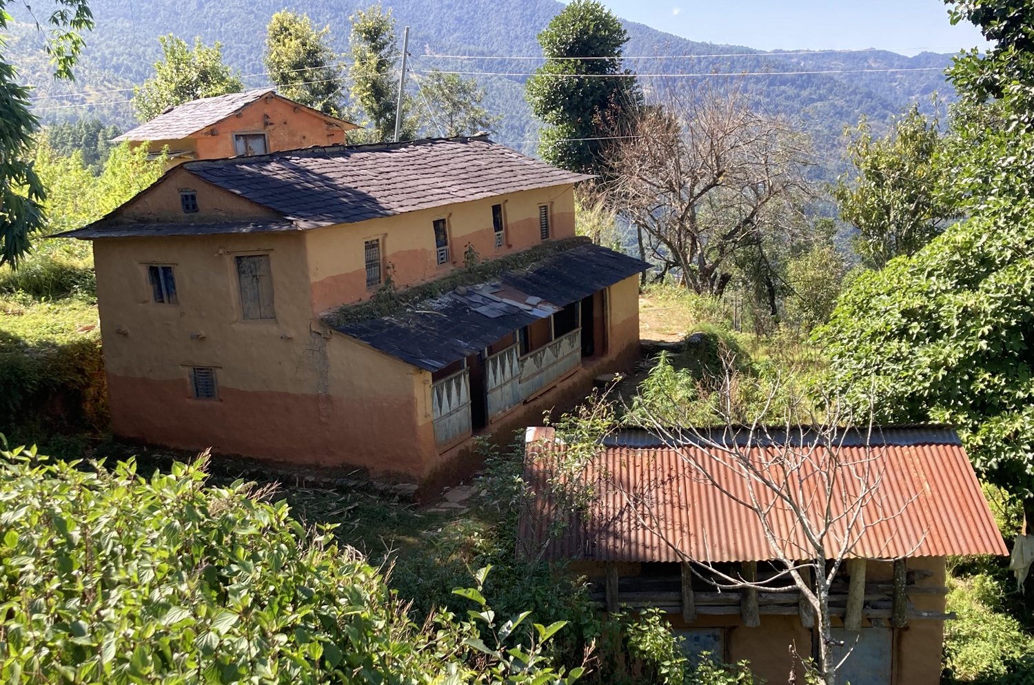 ‘विकास गाउँ आयो, मान्छे बजार झरे’