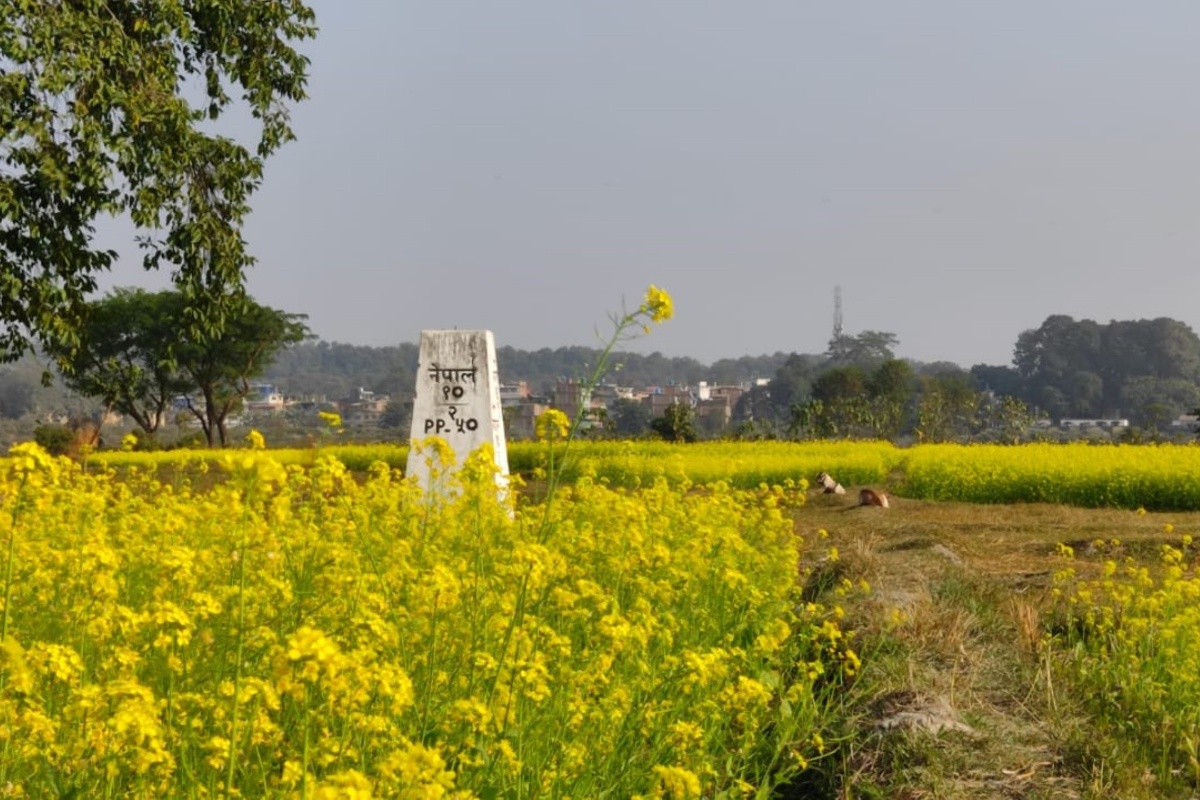 दशगजा वारिपारि, पहेँलपुर तोरीबारी