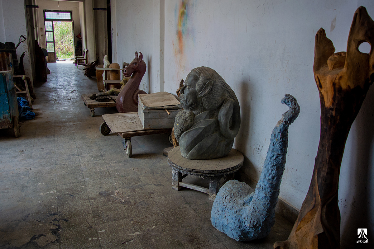 बेहाल ललितकला विभागप्रति त्रिविको छैन चासो, अब फर्किएला साख?