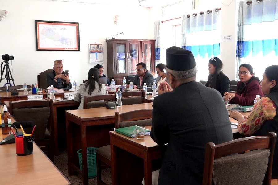 समितिका निर्देशन कार्यान्वयनबारे निगरानी टोली बनाउन सांसदको माग