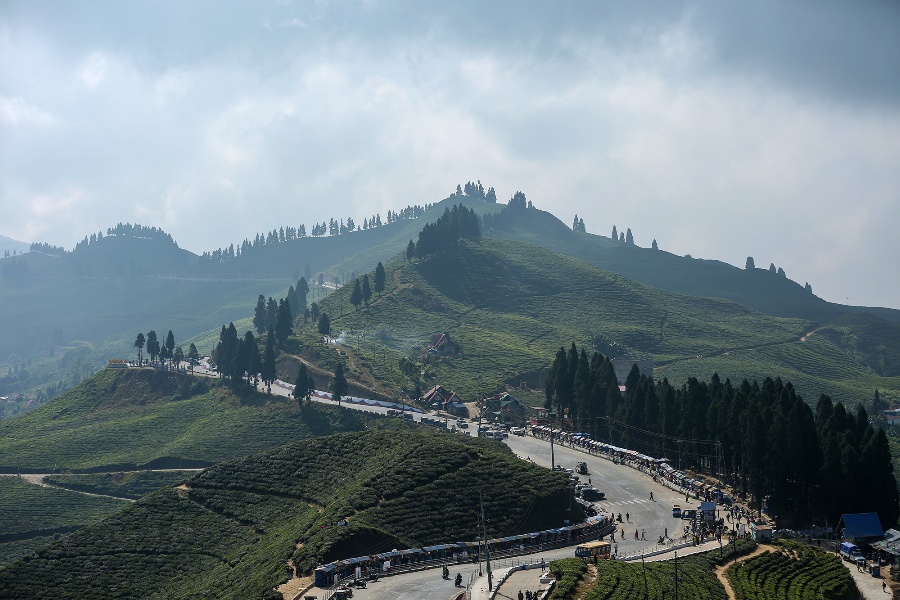 घुम्न जाने होइन इलामको चिया बगान?