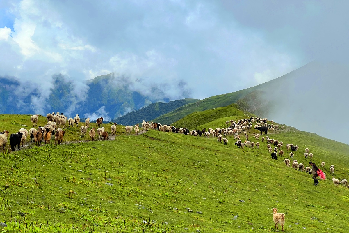 आज देशभर साधारणतया बदली रहने, तर मनसुनी वायुको प्रभाव कमजोर