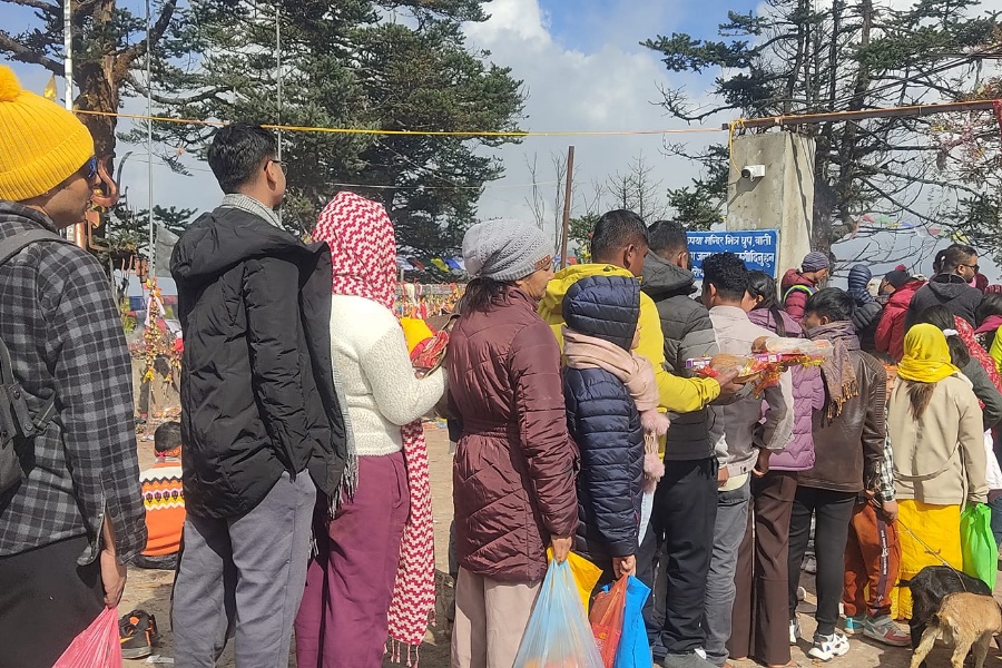 पाथीभरामा बलिको विकल्प नरिवल