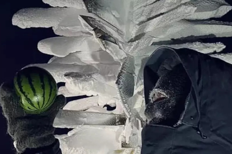 रुसी वैज्ञानिकहरूले पृथ्वीको सबैभन्दा चिसो ठाउँमा उब्जाए तरबुजा