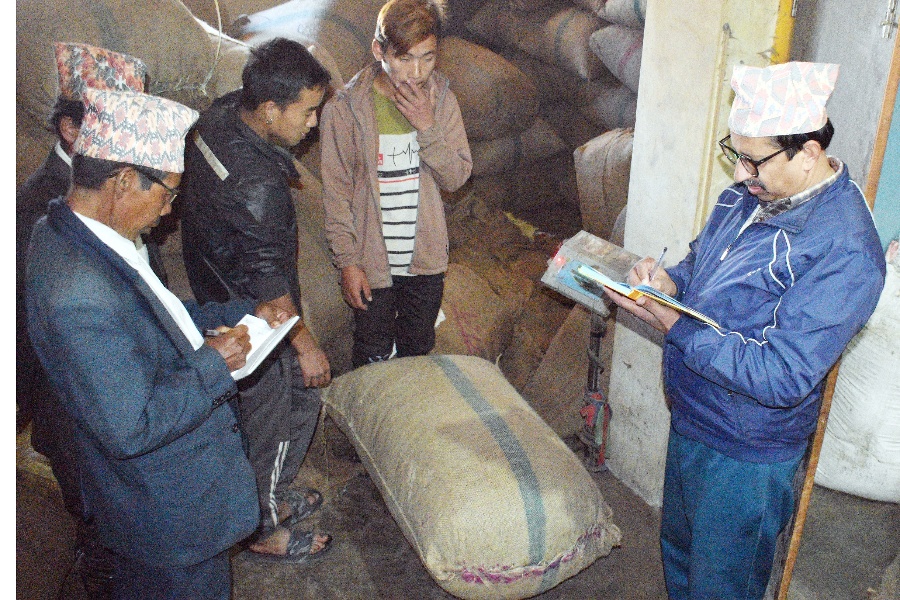 अलैँचीको मूल्य बढेपछि किसान उत्साहित