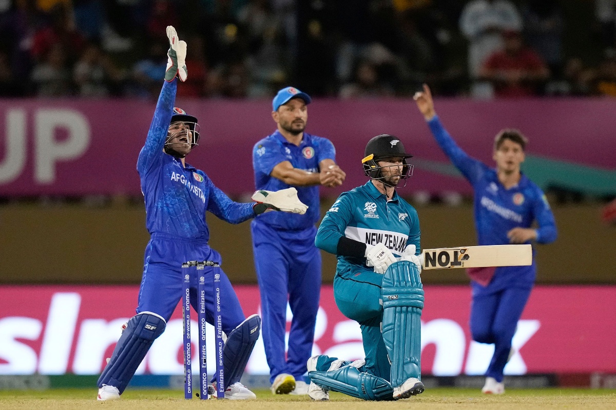 न्युजिल्यान्डमाथि आफगानिस्तानको सानदार जित