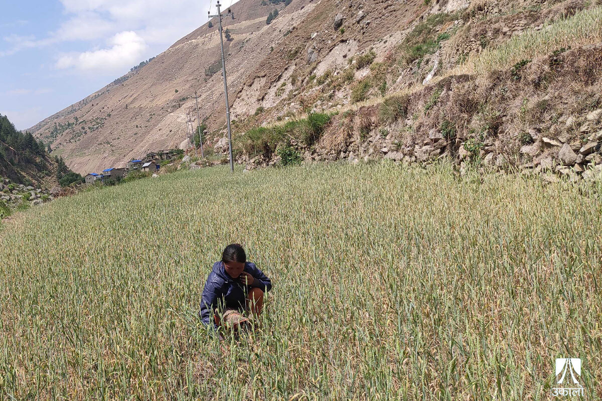 ‘सुक्खा हिउँद र सन्निकट संकट’