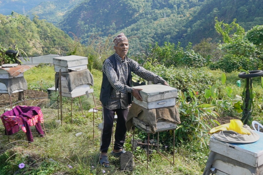 पाैरख गर्न रोकेन उमेरले, मौरीपालनबाट वार्षिक १५ लाख आम्दानी