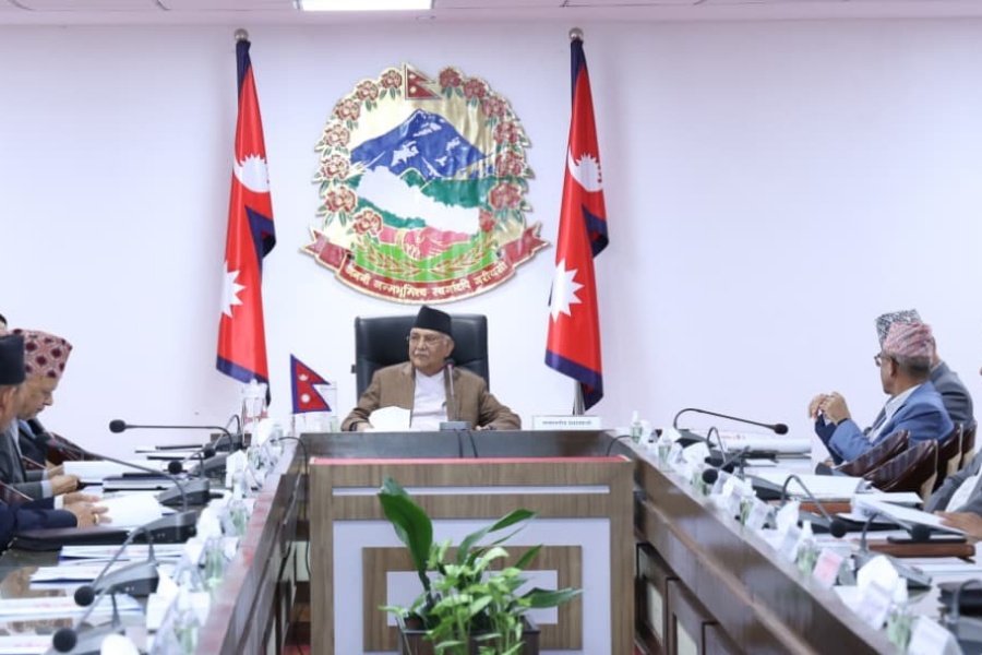 संविधान घोषणाको दशकलाई विशेष रूपमा मनाइने