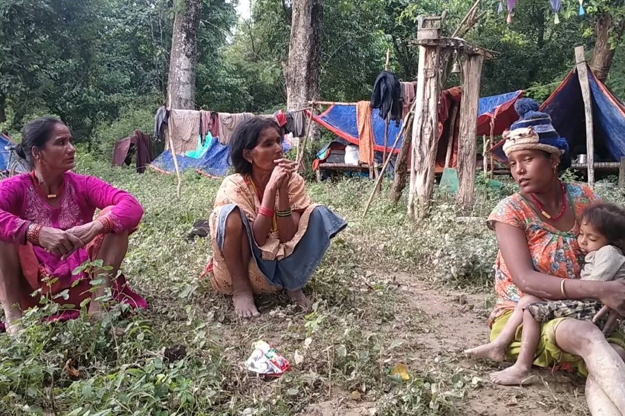 कञ्चनपुरका बाढीपीडितको बास जंगलमा