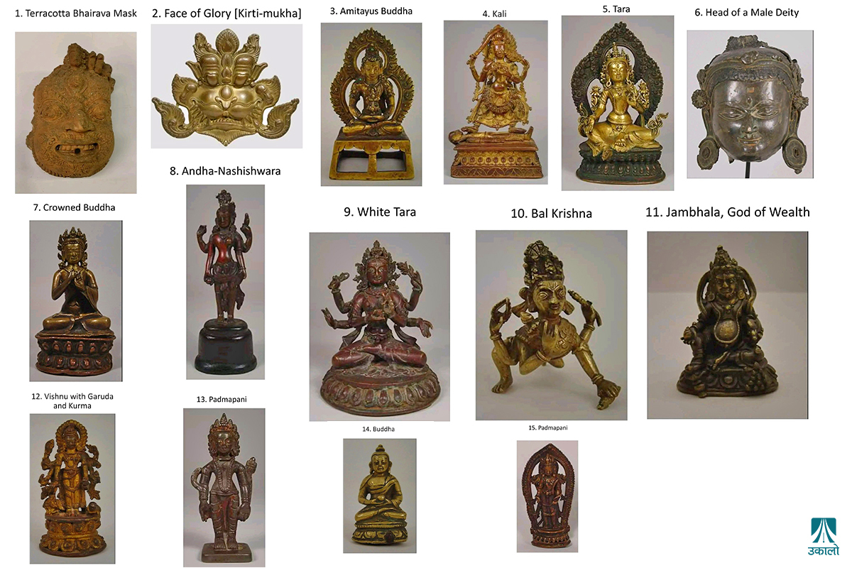 घर फर्किए अमेरिका पुगेका २० सम्पदा 